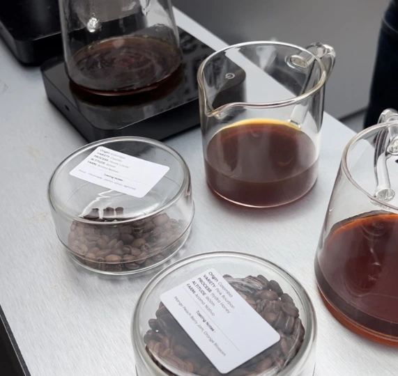 Bonjour Jacob café filtre