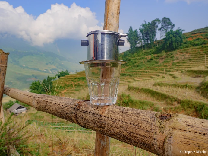 Phin dans les rizière de Sapa