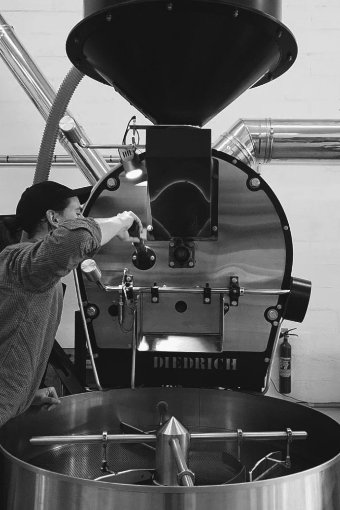 torréfaction robusta