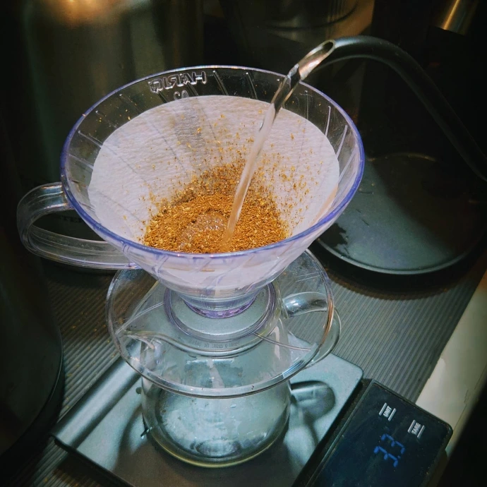 v60 robusta
