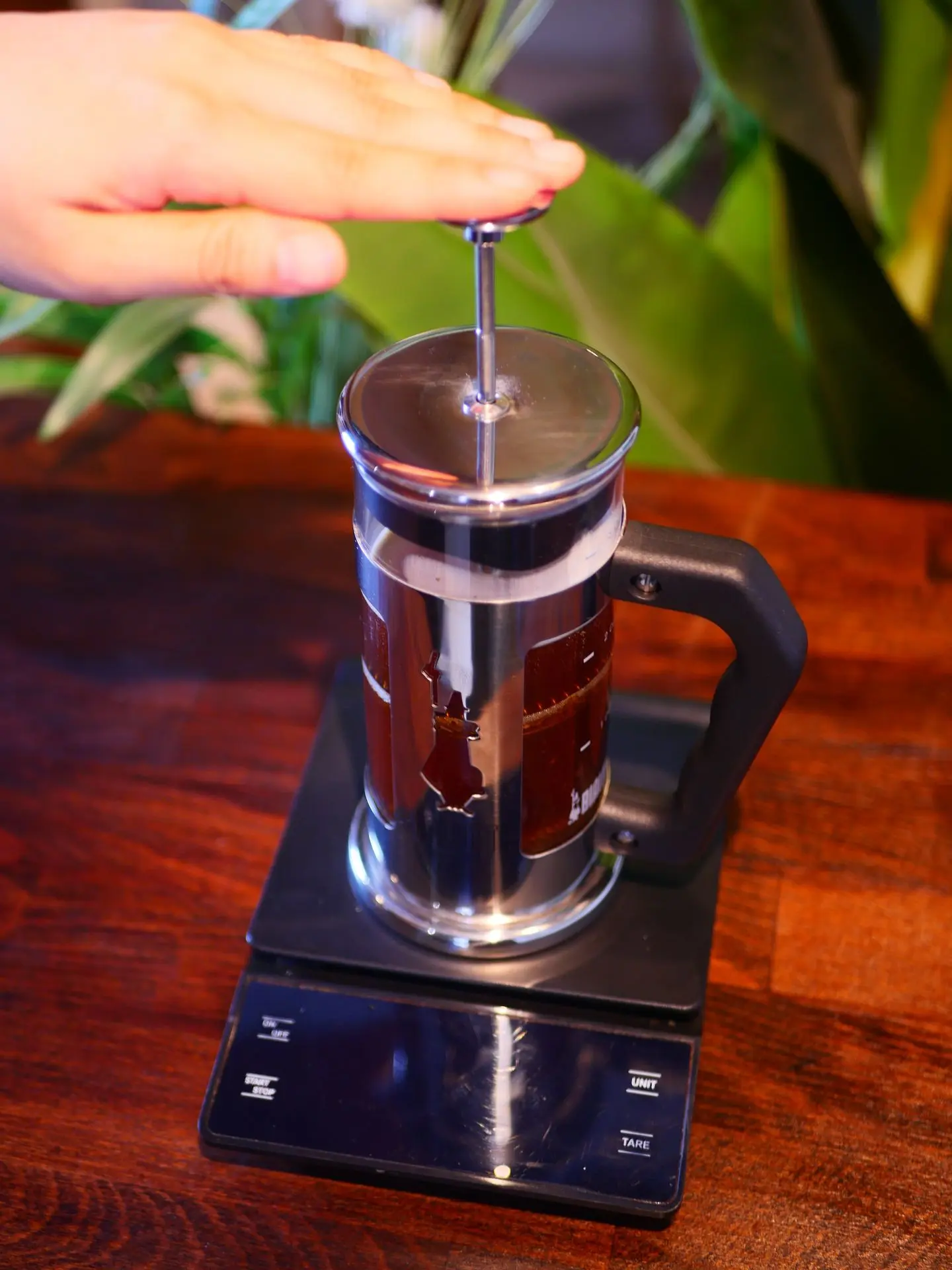 piston french press